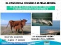 Gestión del ganado bovino extensivo y conservación de la naturaleza