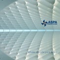 ASPA Consultores 2011 - English
