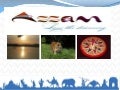 Assam - Love the Discovery