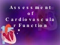 Assessment Of Cardiovascular Function