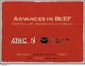 Advances in BeEF - AthCon2012