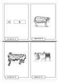 Athenaze cartas 04