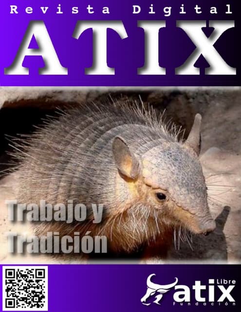 ATIX21