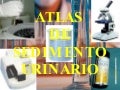 Atlas de sedimento urinario