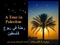 A Tour in Palestine