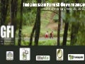 GFI: Indonesia Forest Governance (Attachment 1)