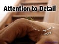 Attention To Detail