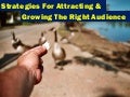 Strategies for Attracting and Growing the Right Audience