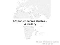 African Undersea Cables -- A History