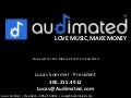 Audimated We Media Miami 2010 PitchIt submission