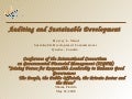 Auditing and sustainable development