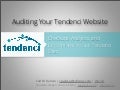 Auditing your Tendenci Website: Checkups, Analytics, and Benchmarks for Live Tendenci Sites