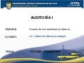 Auditoria I