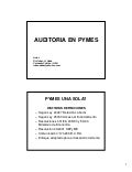 Auditoria En Pymes