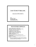Auditoria Pymes Srl Solucion