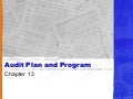 Audit plan and program
