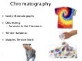 CHROMATOGRAPHY science-Hidalgo