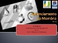 Gerenciamento de memória