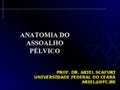 Aula fisioterapia assoalho rn 2013