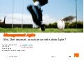 Agile Tour Nantes 2011 - Aurélien morvant   moi, chef de projet, ou suis-je sur cette photo agile