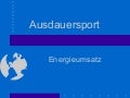 Ausdauersport Energieumsatz