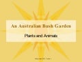 Aust Bush Garden V2