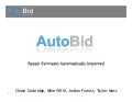 Auto bid final presentation