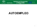 Autoempleo 2007