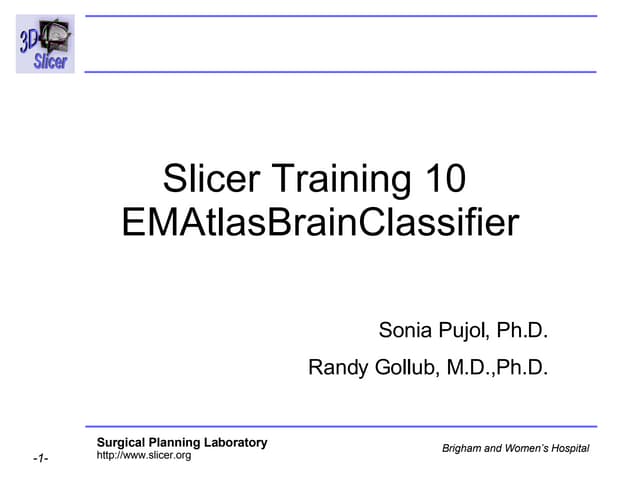 Automatic Brain Segmentation-3770