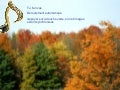 Automne 8 10 14