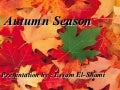 Autum Season