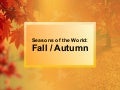 Fall / Autumn