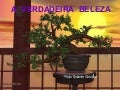 Averdaeirabeleza