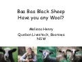 Baa Baa Black Sheep 