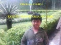 Bab 5 kedudukan warga negara baru
