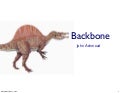 Overview of Backbone