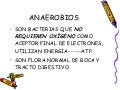 Bacterias Anaerobios