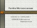 Bacteriologia Familia Micrococcaceae