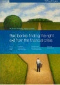 Bad banks finding the right exit from the financial crisis