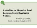 Green Energy for the Poor in Rural Mexico and Southeast Asia.