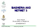 Bagheria and Water Cultures