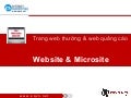 Build website for better Internet Marketing