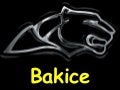 Bakice