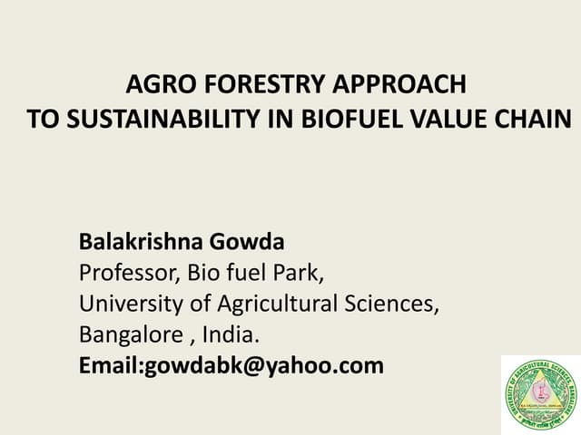 Agroforestry approach for sustainability in biofuel value chain