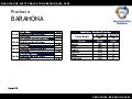Barahona (2002)