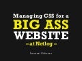 Managing CSS for a big ass website - at Netlog