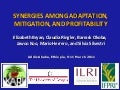 Barrack Okoba: Agricultural land management: capturing synergies between climate change adaptation, greenhouse gas mitigation and agricultural productivity