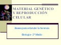 Bases De La Herencia