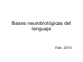 Bases Neurobiológicas del lenguaje