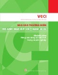 Bctn doanh nghiep viet nam 2009